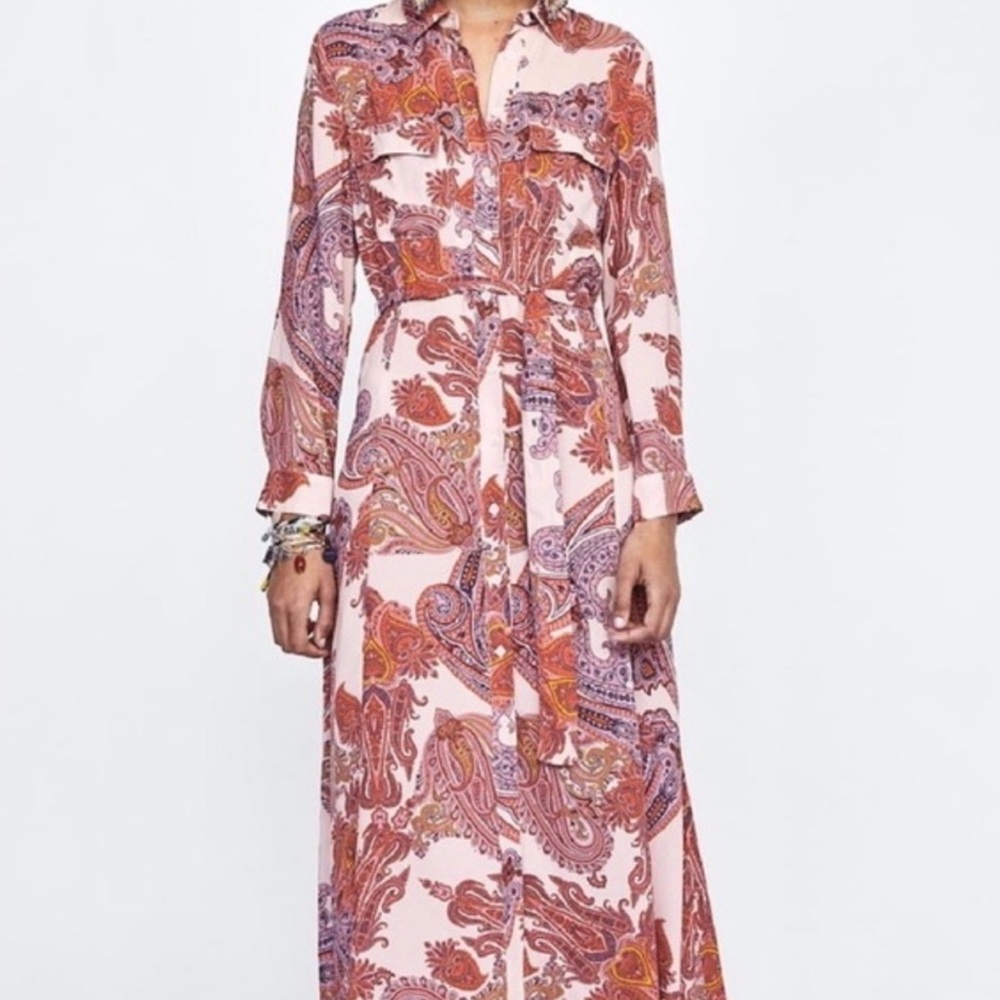 Zara Multicolor Paisley Long Sleeve Dress